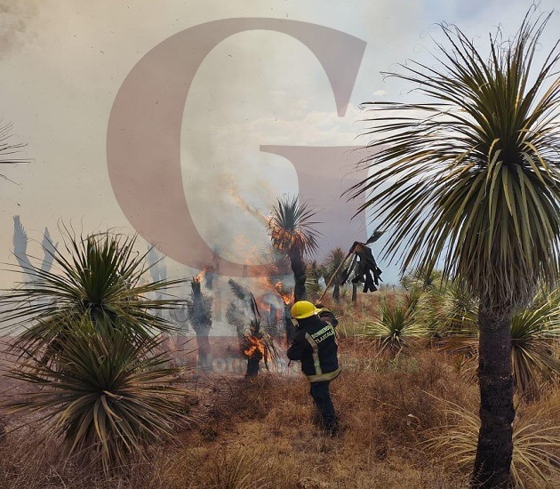 Cuerpo de Bomberos sofoca incendio forestal de 30 hectáreas en Huamantla